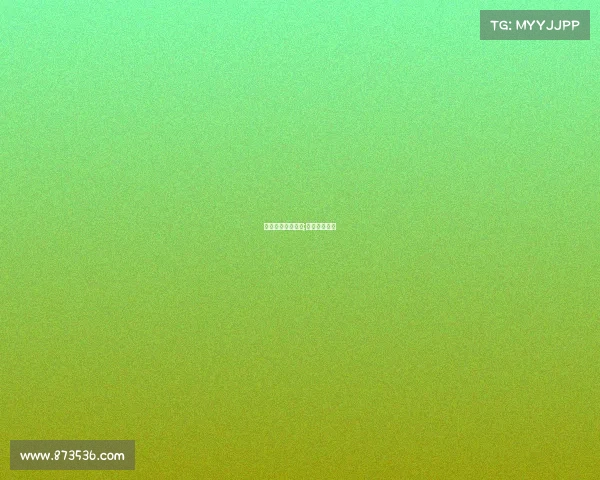 赛事赞助会议纪要;赛事赞助方案